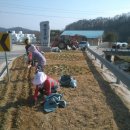 관성3리 이미지