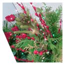 금호2동 행정복지센터 이미지