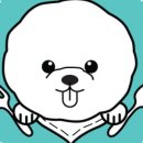 스토리 멍 이미지