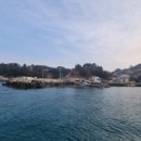 지민박 이미지