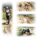 조병화농장 이미지