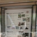 미라클 수영장 네이버블로그