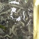 오서산상담마을