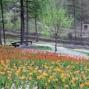 해여림식물원 이미지