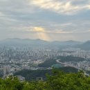 비옥