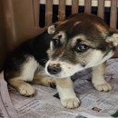 광터경로당 이미지