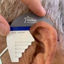 판교보청기센터 이미지