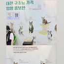 네코네스토리 | 130만원 밖에 안 썼어..💵 | 2026 양재 궁팡 후기