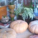 삼성병원 맞은편 이미지