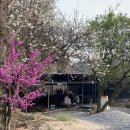 동명농장2 이미지