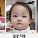 정인 이미지
