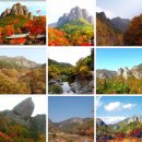 10/31(토)경북의명산 주왕산 단풍 트레킹 이미지