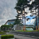 선우식당 | 가락시장회센터 스끼다시 잘나오는 선우회센터 모듬회 후기