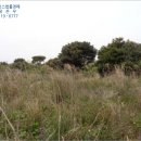 수산리-18 이미지