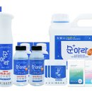 서대전인력 이미지