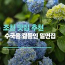 제주도여행) 조천 맛집 추천, 함덕 함돌 다니쉬 자연과사람들밀면 본점 솔직후기