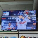 돈오리비해피