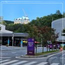베르사이유모텔 | 강원도 정선 숙소 추천, 정선과 영월 여행의 베이스캠프! 베르사유 모텔