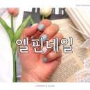 엘핀네일 이미지