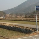 풍양중학교 이미지