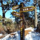생용 누리길 네이버블로그