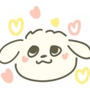 타카독스 커피 이미지
