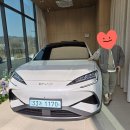 글라스틴트충주 | 2026년 2월 13일 씨라이언 7 샤크 그레이 출고 후기!