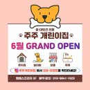 주주애견 이미지