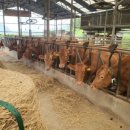 (주)위코퍼레이션 이미지