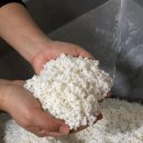 서해막걸리 이미지