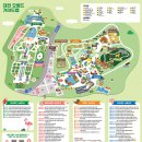 대전 오월드 사파리 주말 오픈런 후기 (티켓 저렴하게 구매, 그 외 소소한 팁)