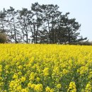 수성당 이미지