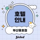 옐레드 애견유치원&애견호텔 부산용호점 이미지