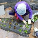 가중농장 이미지