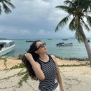 6093 | SD6083쉐입과 매우 동일한 면세점 선글라스 추천, 산드로 SD6093 여성 남녀공용