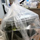 족발의 정점 | 신정동 족발 맛집 족발정점 후기 | 훈연향 가득 바베큐족발 아빠가 추천하는 가족 야식