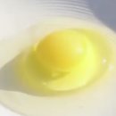 행복한닭농장 이미지