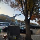 산성대로595 이미지