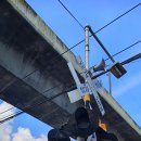 (버스)신장육교 이미지