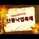 2021 석촌호수 송파둘레길 단풍낙엽축제_하이라이트 이미지