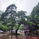 운문사사리암주차장 이미지