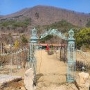 토브하르 이미지