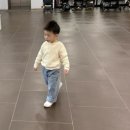 우진어린이집 | 25fw 아기옷 후기 | 31개월 아기 사이즈 팁 &amp; 착용샷 (소예,베네베네,올라올라,드타미,얼리틀,시셀...