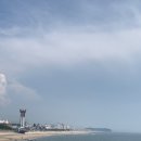 롯데리아대천 이미지