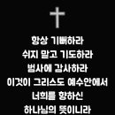 전광훈 목사 다니엘 종말론 에 천국 간증 이미지