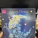 JIESTAR 블럭_Moon Flower 후기