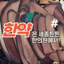 세종튼튼한의원 이미지