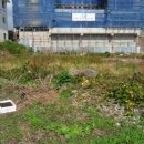 법환동-7 이미지