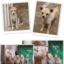 근수농장 이미지