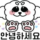 훈이애견 이미지